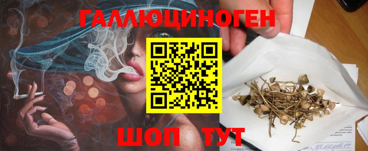 Галлюциногенные грибы Cubensis Губкинский